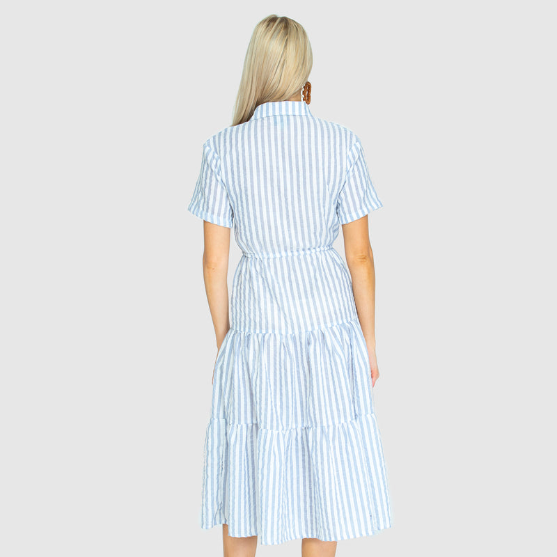 THE WALK IN THE PARK DRESS - Woven Stripe blue/white
