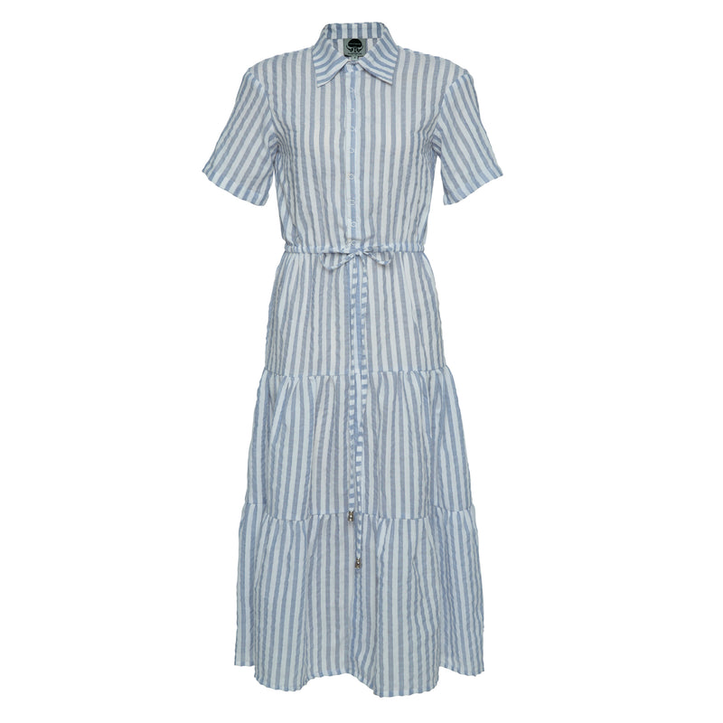 THE WALK IN THE PARK DRESS - Woven Stripe blue/white