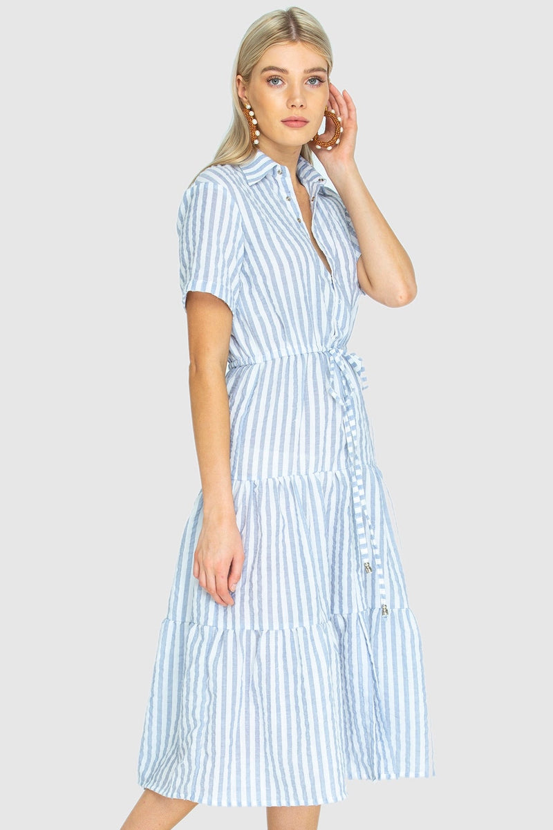 THE WALK IN THE PARK DRESS - Woven Stripe blue/white